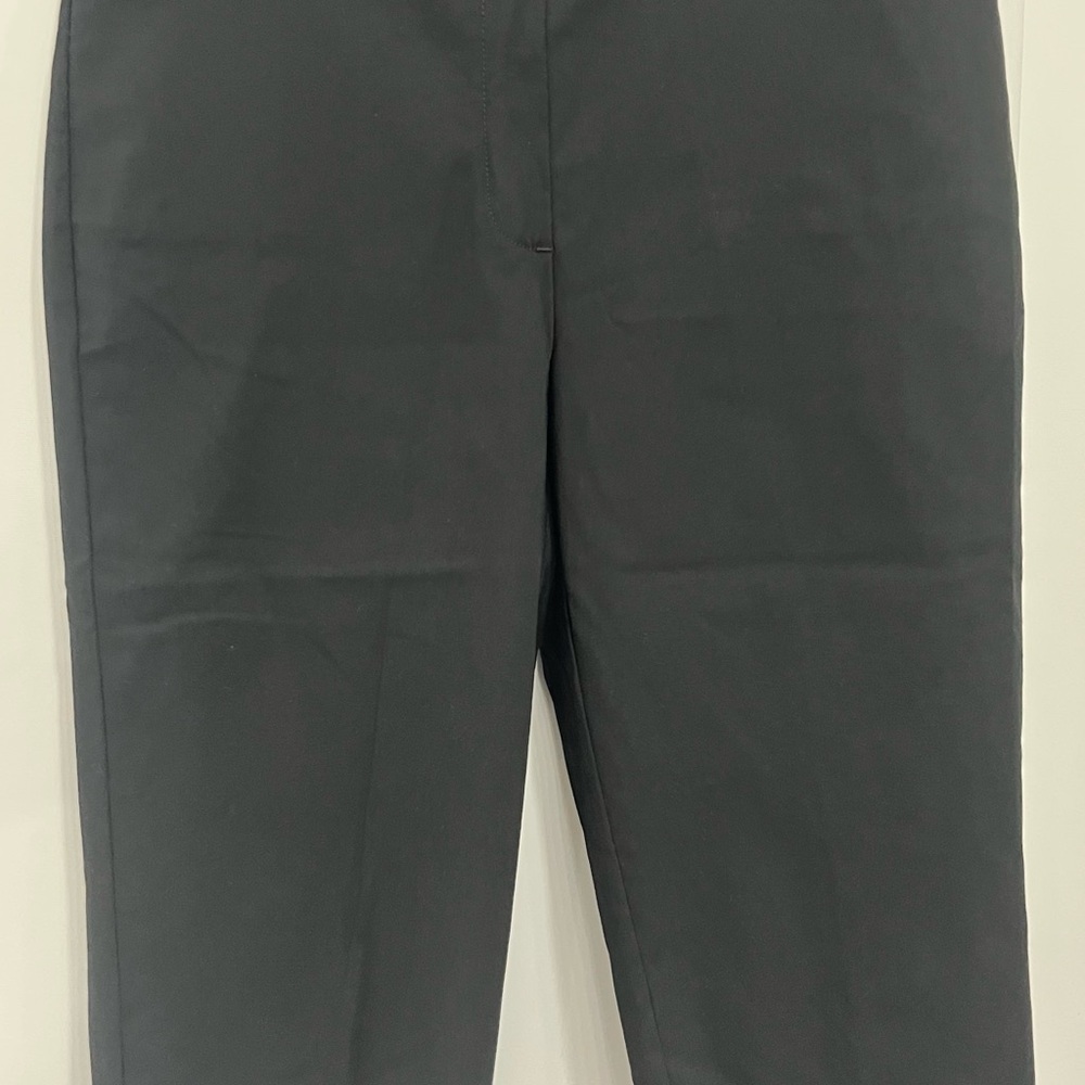 Alfred Dunner Men's Charcoal Flat Front‎ Shorts